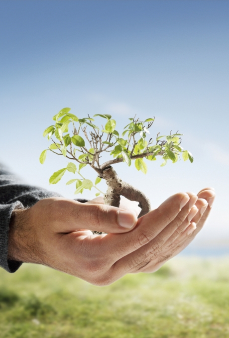 Handwerk mit Nachhaltigkeit